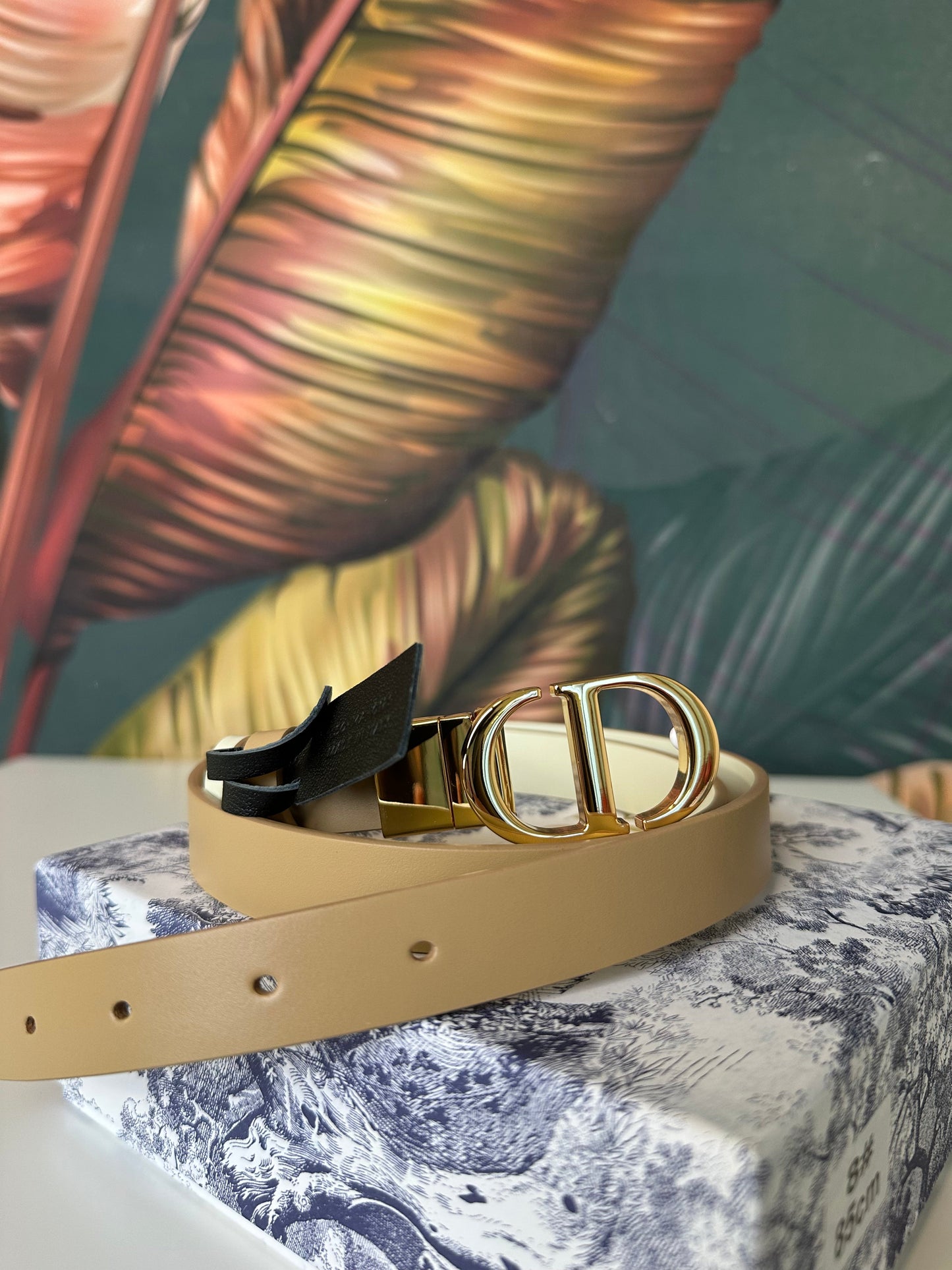 Cintura art.8